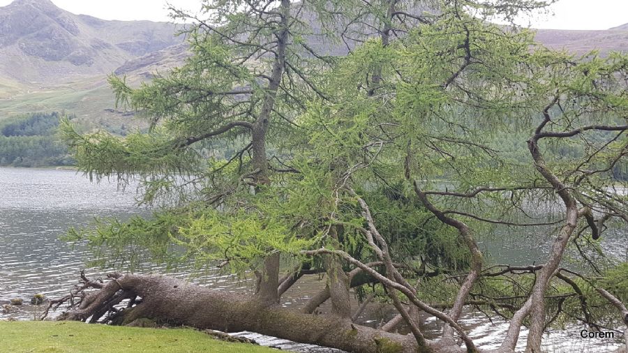 טיול באגם Buttermere